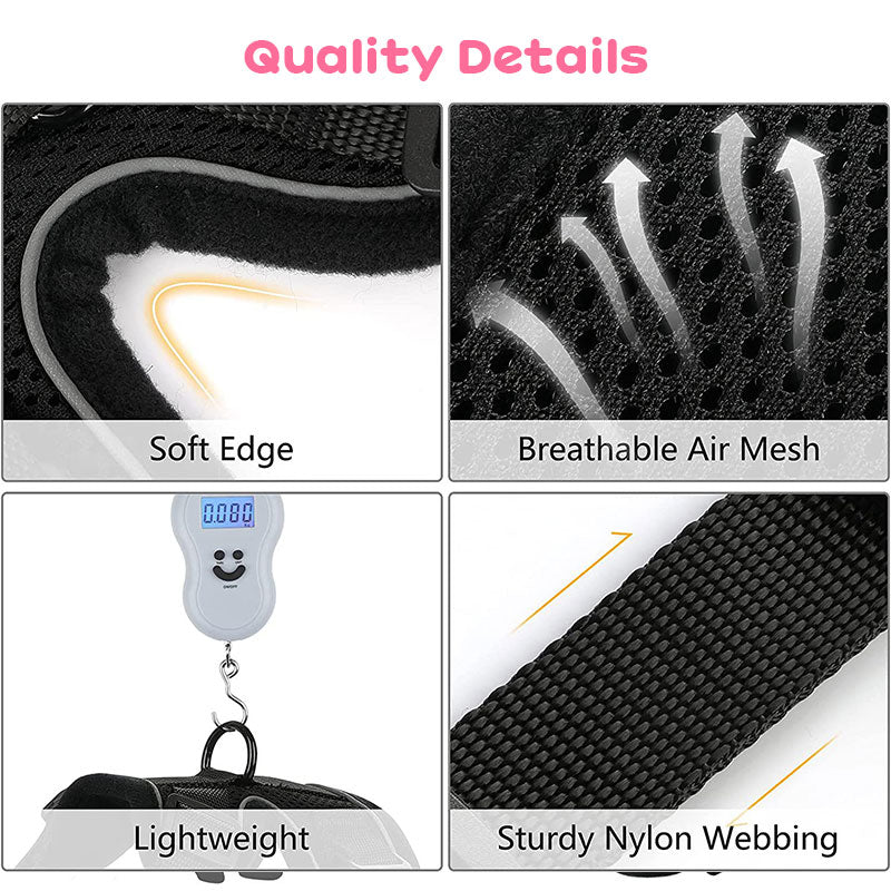 Cat Harness and Leash with Easy Control, Escape-Proof - Soft Adjustable Vest Harness for Walking Cats