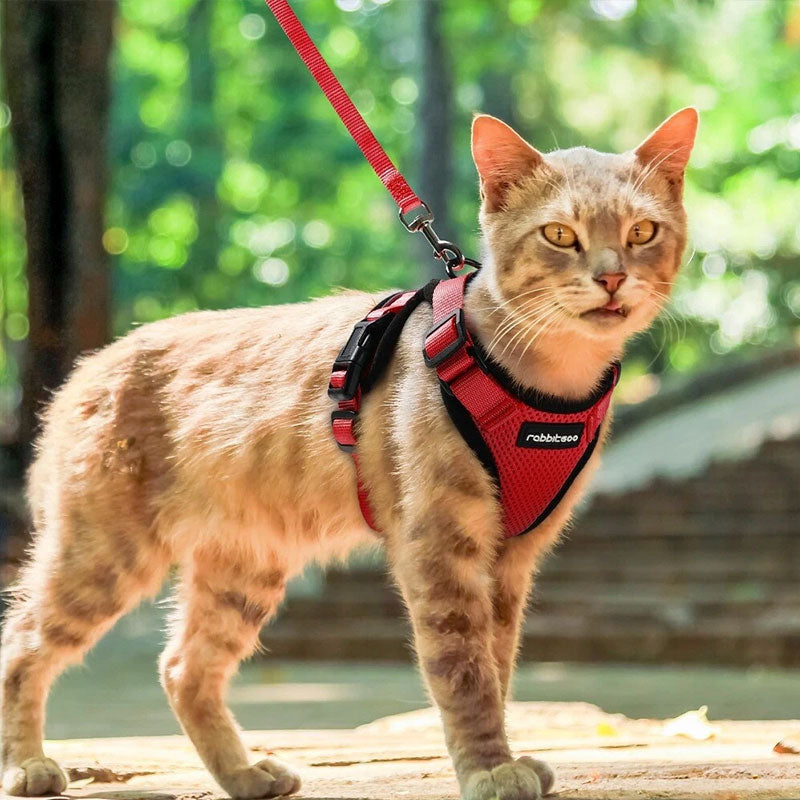 Cat Harness and Leash with Easy Control, Escape-Proof - Soft Adjustable Vest Harness for Walking Cats