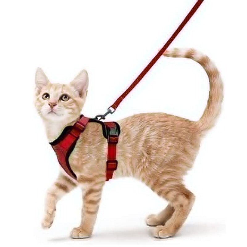 Cat Harness and Leash with Easy Control, Escape-Proof - Soft Adjustable Vest Harness for Walking Cats