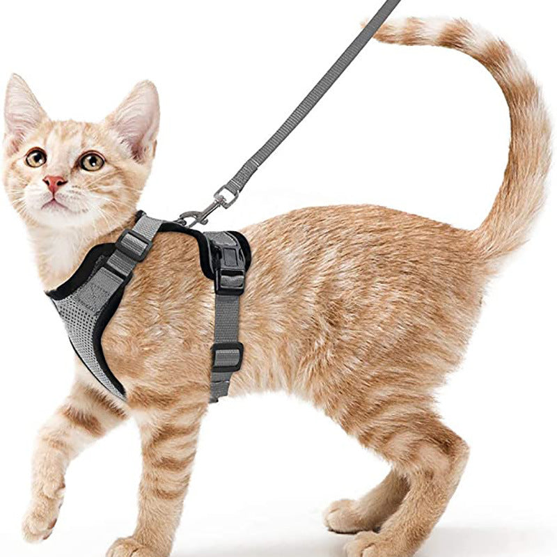 Cat Harness and Leash with Easy Control, Escape-Proof - Soft Adjustable Vest Harness for Walking Cats